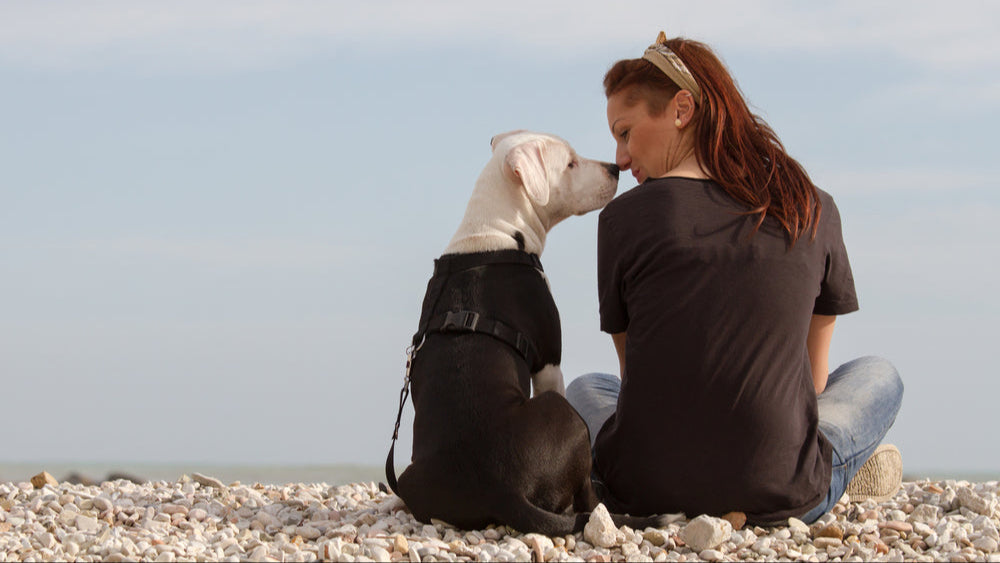 Why Slow Living Is Influencing Pet Owners Across Canada