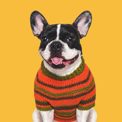 Collection image for: Coats & Sweaters