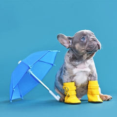 Collection image for: Boots & Rain Gear