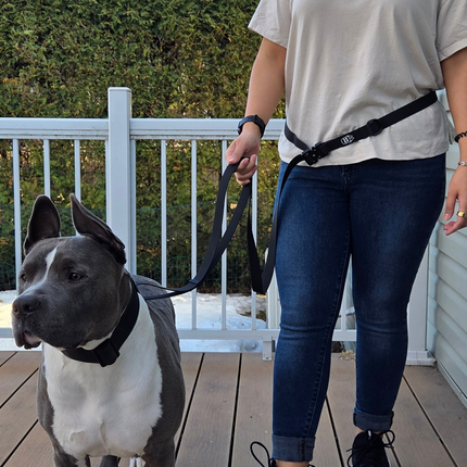 Multi‑Way Hands‑Free PVC Leash