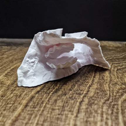 Aquarium Cave with Integrated Clam Shell Hide – 3D Printed Rock Texture Decor for Fish Tanks, Aquascapes, and Reptile Terrariums - "Hidden Shell" Model