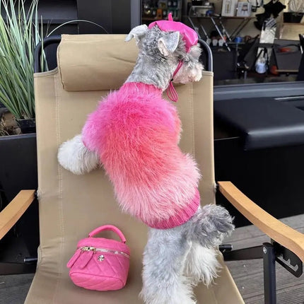 Dog Sweater | I’m Fabulous Dog Sweater