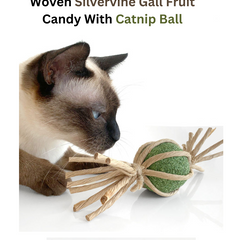 Collection image for: Cats - Toys
