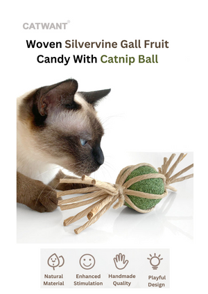 Cats - Toys