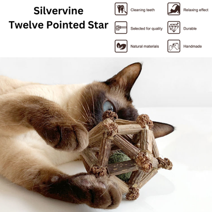 Silvervine Twelve Pointed Star
