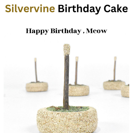 Silvervine Birthday Cake