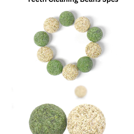 Catnip / Silvervine Teeth Cleaning Beans 5pcs