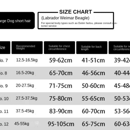Winter Dog Jacket | Dog Jacket with Hood for Cold Weather