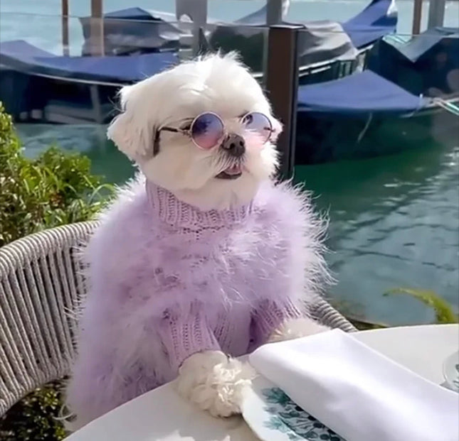 Doggie Haute Couture Saturn Sweater