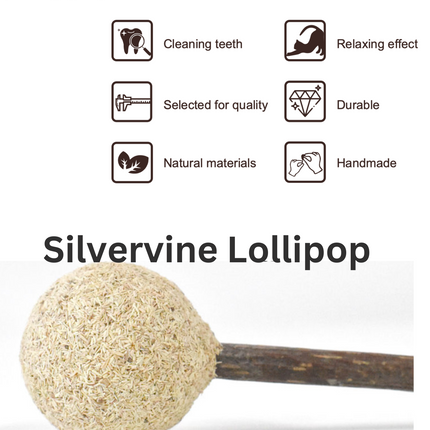 Catnip / Silvervine Lollipop