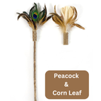 Peacock & Corn Leaf