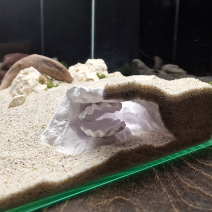 Aquarium Cave with Integrated Clam Shell Hide – 3D Printed Rock Texture Decor for Fish Tanks, Aquascapes, and Reptile Terrariums - "Hidden Shell" Model