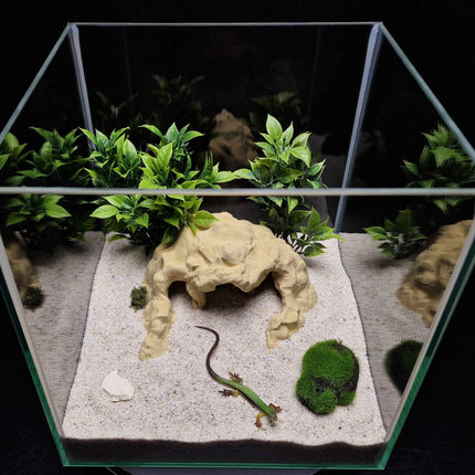 3D Printed Terrarium Reptile and Fish Cave | Natural Desert Rock Hideout - "Three Ways Home" Model