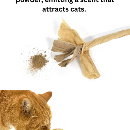 Woven Silvervine Gall Fruit Ball