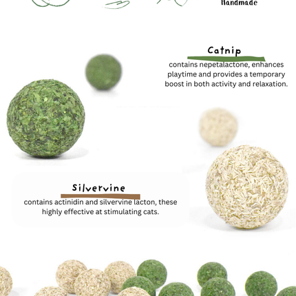 Catnip / Silvervine Teeth Cleaning Beans 5pcs