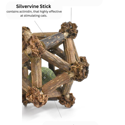 Silvervine Twelve Pointed Star