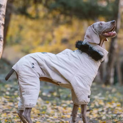 Winter Dog Jacket | Dog Jacket with Hood for Cold Weather