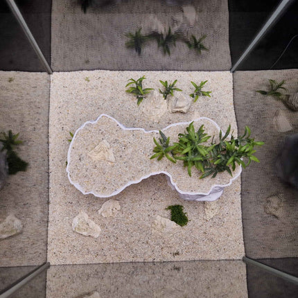 3D Printed Arch Hideout – Aquascape, Terrarium Rock Feature for Cichlids, Plecos, Reptiles - "Arc de Triomphe" Model