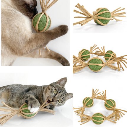 Woven Silvervine Gall Fruit Candy With Catnip Ball