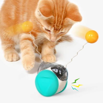 Pet Interactive Wobble Squeaky Toy