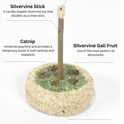 Silvervine Birthday Cake