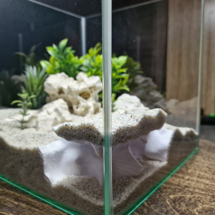 Terrarium Cave & Aquarium Tunnel | 3D Printed Under-Sand Hide for Aquascaping, Cichlids, Shrimp, and Reptiles - "Corner Office" Model