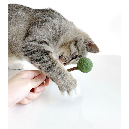 Catnip / Silvervine Lollipop