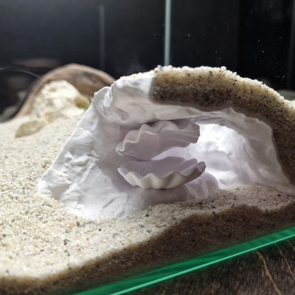 Aquarium Cave with Integrated Clam Shell Hide – 3D Printed Rock Texture Decor for Fish Tanks, Aquascapes, and Reptile Terrariums - "Hidden Shell" Model