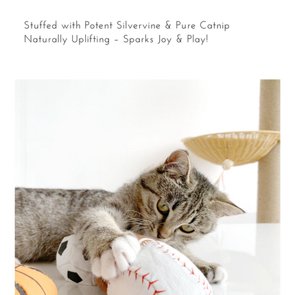 100% Silvervine/Catnip Filled Sport Ball Set - 4-Pack