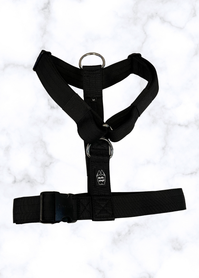 Y Strap Adventure Harness - Black