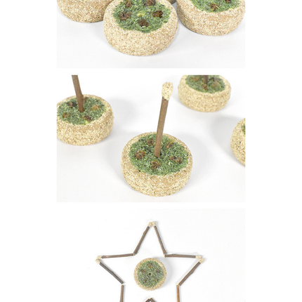 Silvervine Birthday Cake