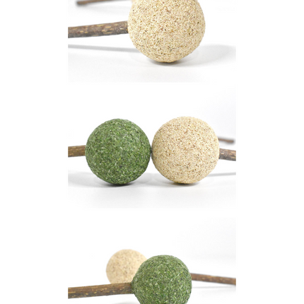 Catnip / Silvervine Lollipop