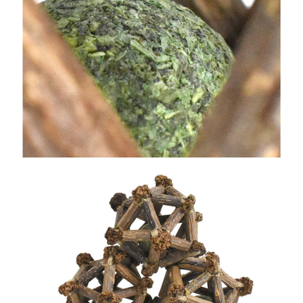 Silvervine Twelve Pointed Star