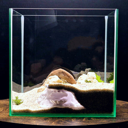 Aquarium Cave with Integrated Clam Shell Hide – 3D Printed Rock Texture Decor for Fish Tanks, Aquascapes, and Reptile Terrariums - "Hidden Shell" Model