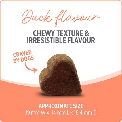 Nutrience Care® Probiotic+ Dog Supplement, 100 Soft Chews, 400 g 🍁 All In One Marketplace Canada