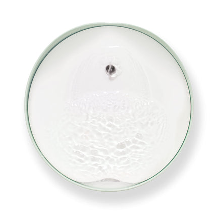 Catit PIXI Cat Water Fountain, 2.5 L, Mint Green, Modern Cat Fountain, Silent Pump for Indoor Cats, Different Flow Settings, Fontaine Pour Chat, Pet Water Fountains 🍁 All In One Marketplace Canada
