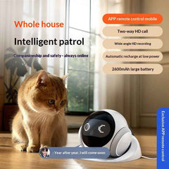 Collection image for: Dogs - Training & Behavior