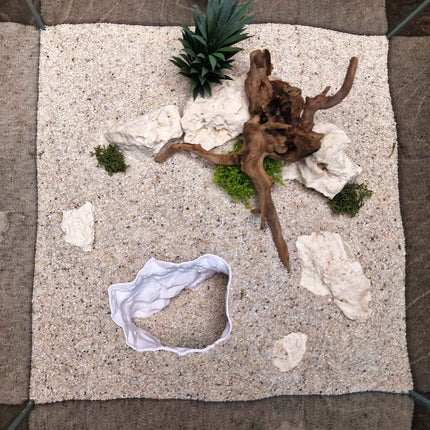 3D Printed Terrarium Cave – Rock Hideout for Terrarium, Aquarium - Customizable Sizing - "Offset Chamber" Model