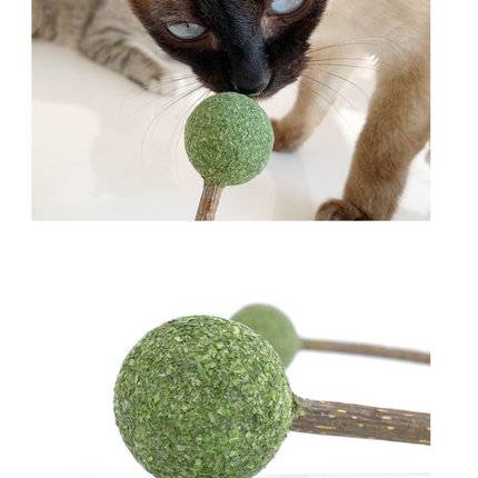 Catnip / Silvervine Lollipop