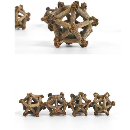 Silvervine Twelve Pointed Star