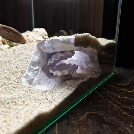Aquarium Cave with Integrated Clam Shell Hide – 3D Printed Rock Texture Decor for Fish Tanks, Aquascapes, and Reptile Terrariums - "Hidden Shell" Model