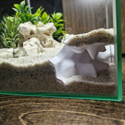 Terrarium Cave & Aquarium Tunnel | 3D Printed Under-Sand Hide for Aquascaping, Cichlids, Shrimp, and Reptiles - "Corner Office" Model