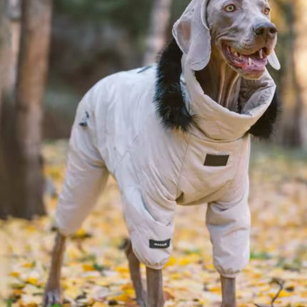 Winter Dog Jacket | Dog Jacket with Hood for Cold Weather