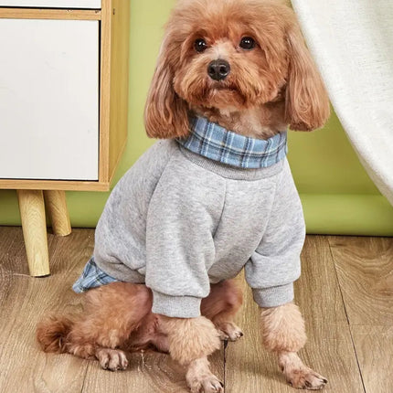 Adam Dog Sweater | Layered Dog Shirt and Knit Sweater