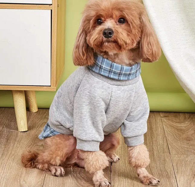 Doggie Haute Couture Adam Dog Sweater | Layered Dog Shirt and Knit Sweater