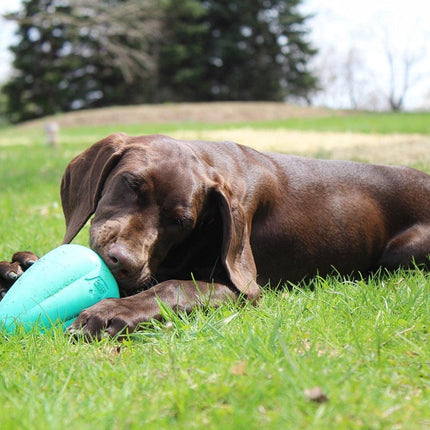 Chew King Premium Treat Dog Toy, XL, Extremely Durable Natural Rubber Toy, Pack of 2, All Breed Sizes 🍁 All In One Marketplace Canada
