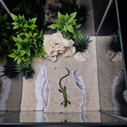 3D Printed Terrarium Cave Passageway - Customizable – Aquarium Cichlid, Pleco, Gecko Hideout - "Bridge Under Troubled Waters" Model