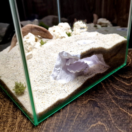 Aquarium Cave with Integrated Clam Shell Hide – 3D Printed Rock Texture Decor for Fish Tanks, Aquascapes, and Reptile Terrariums - "Hidden Shell" Model