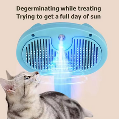 Collection image for: Cats - Health & Grooming