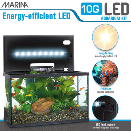 Marina LED Aquarium Kit, 10 US Gallon